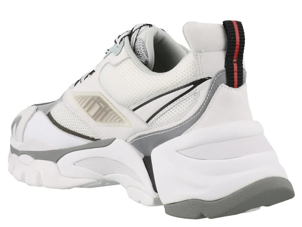 Ash Flex Sneakers